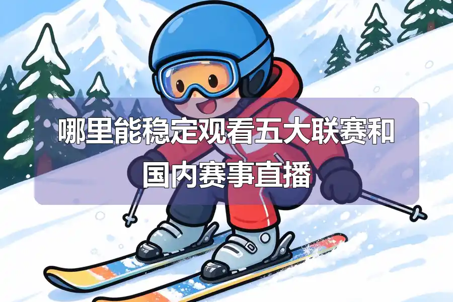 哪里能稳定观看五大联赛和国内赛事直播